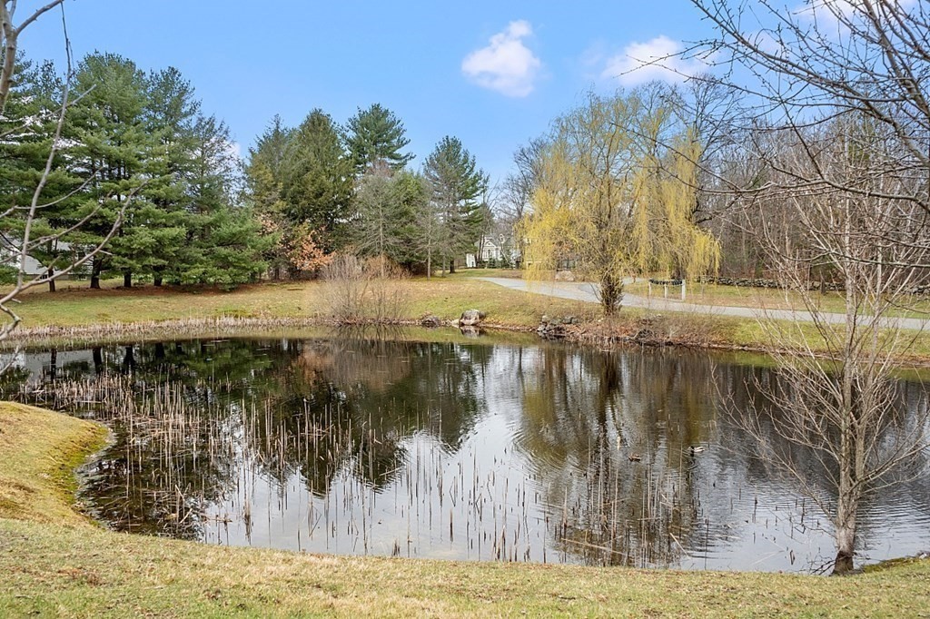 8 Reiling Pond Road Lincoln, MA 01773 - Photo 34 of 35