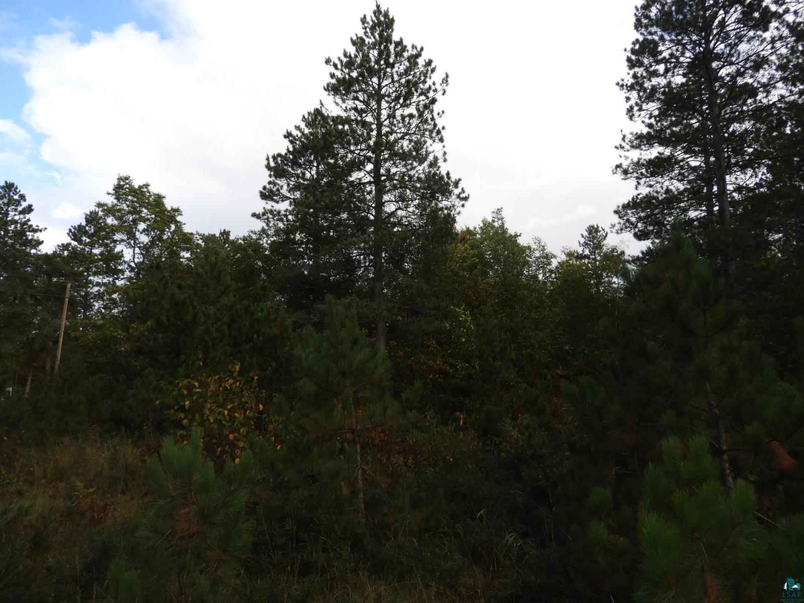 1765 East Wilderness Court Barnes, WI 54873 - Photo 2 of 10