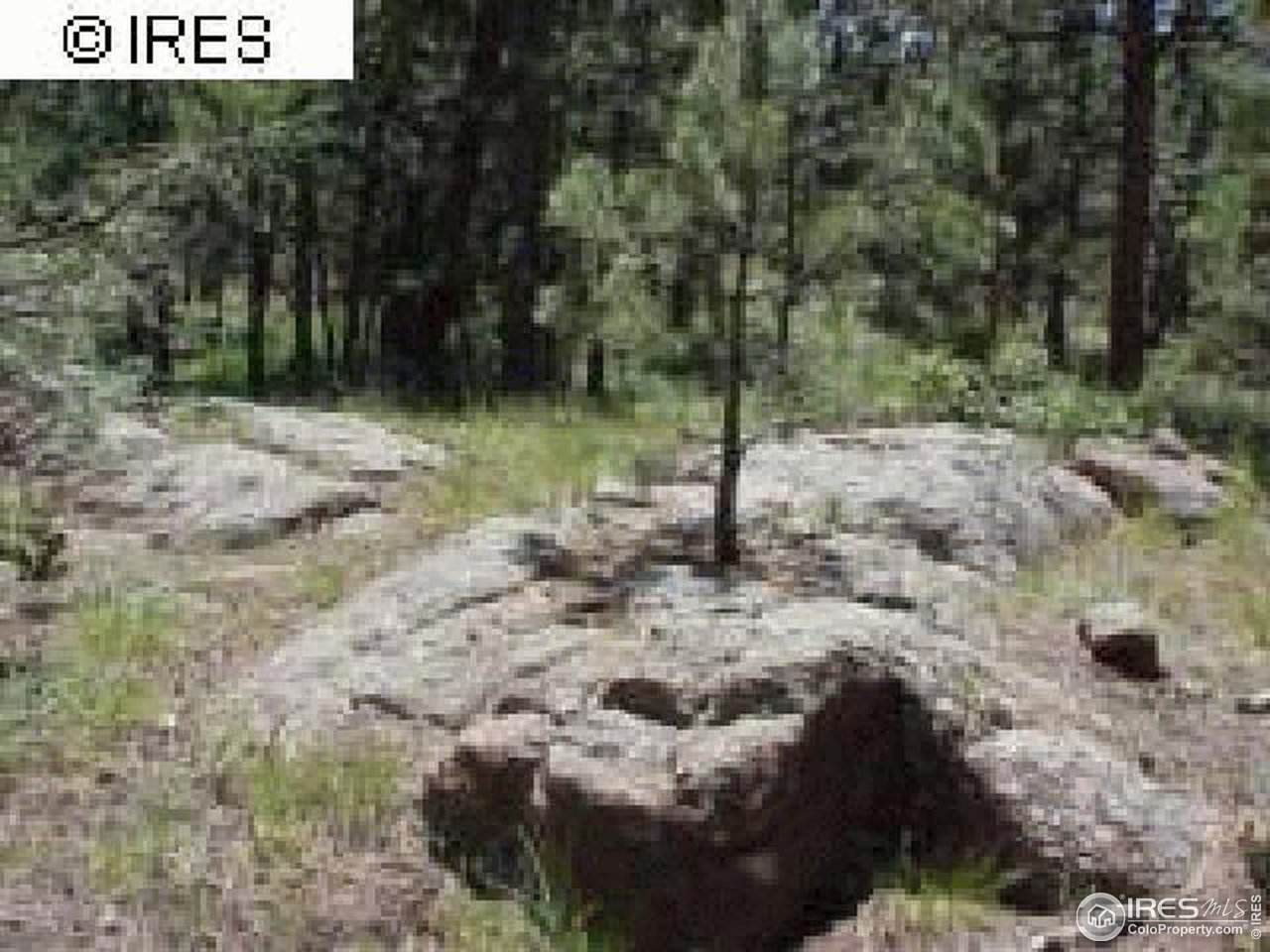 0 Cherokee Road Lyons, CO 80540 - Photo 1 of 10 Gallery Image 1