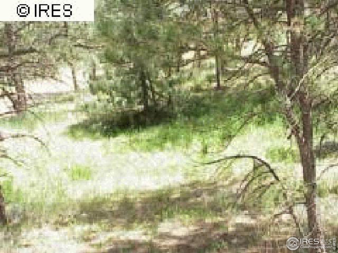 0 Cherokee Road Lyons, CO 80540 - Photo 8 of 10 Gallery Image 8