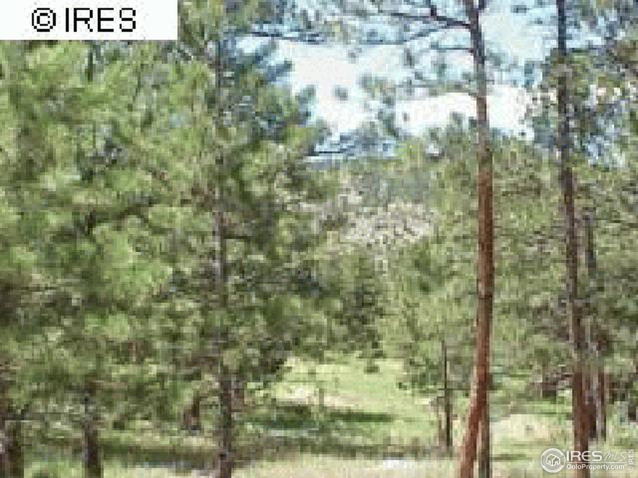 0 Cherokee Road Lyons, CO 80540 - Photo 10 of 10 Gallery Image 10