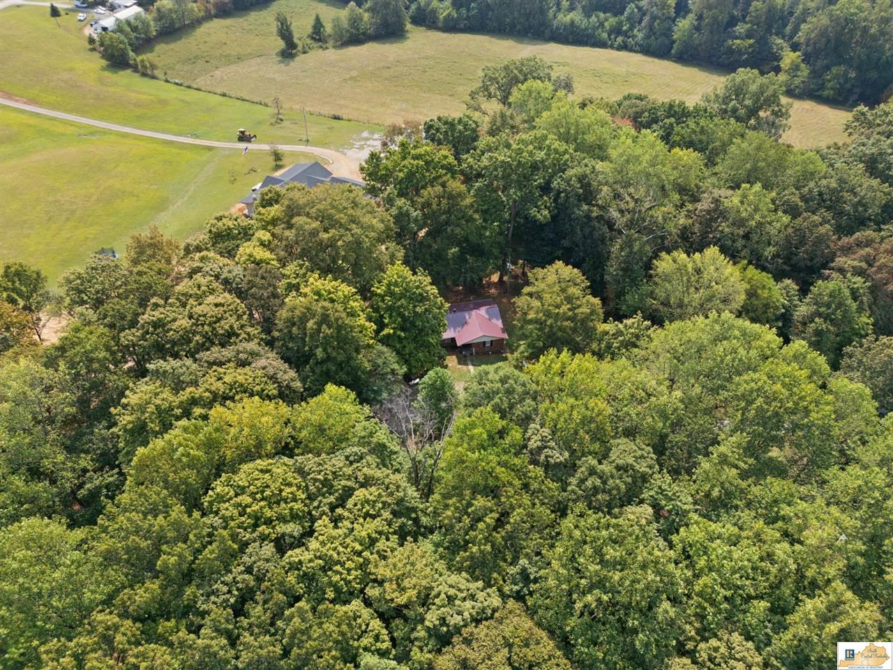 131 Wayne Poynter Road Edmonton, KY 42129 - Photo 61 of 63 Gallery Image 61