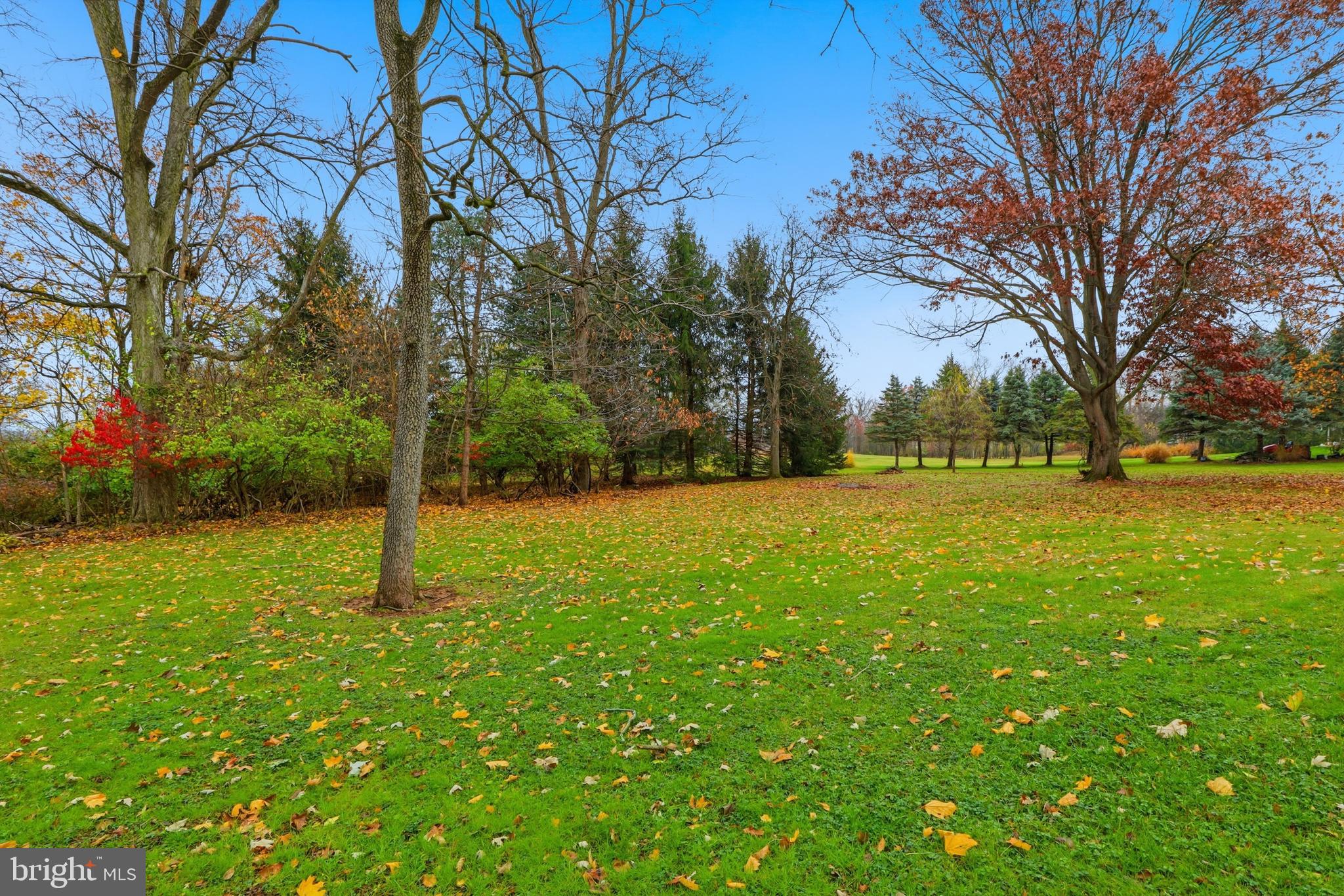 2113 Huntington Road Dover, PA 17315 - Photo 42 of 50 a view of yard with tree