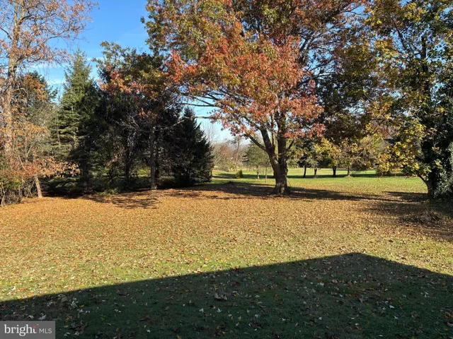 a view of outdoor space with yard