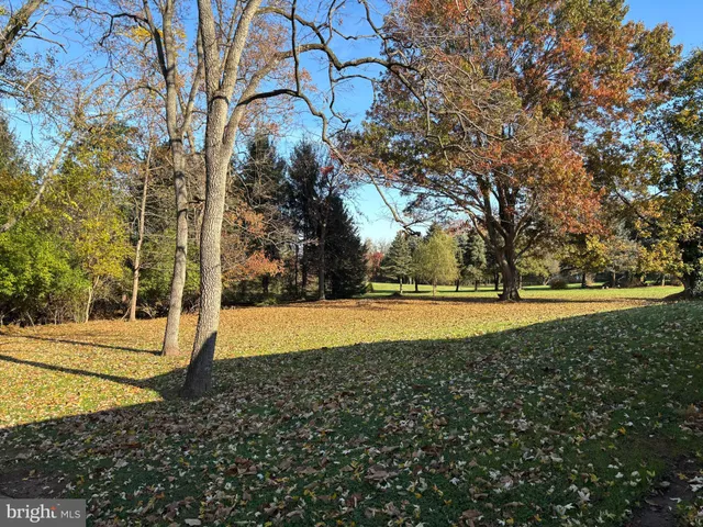 a view of yard with large trees