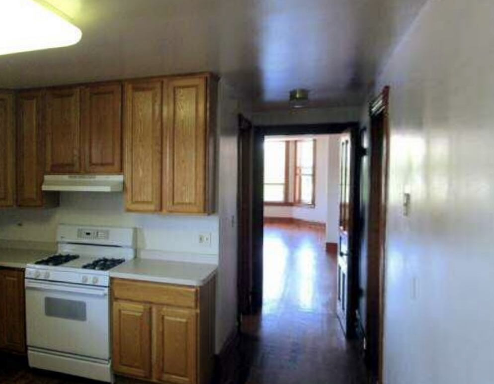 3013 South Wells Street, Unit 2 Chicago, IL 60616 - Photo 10 of 13 a kitchen with a refrigerator and wooden floor