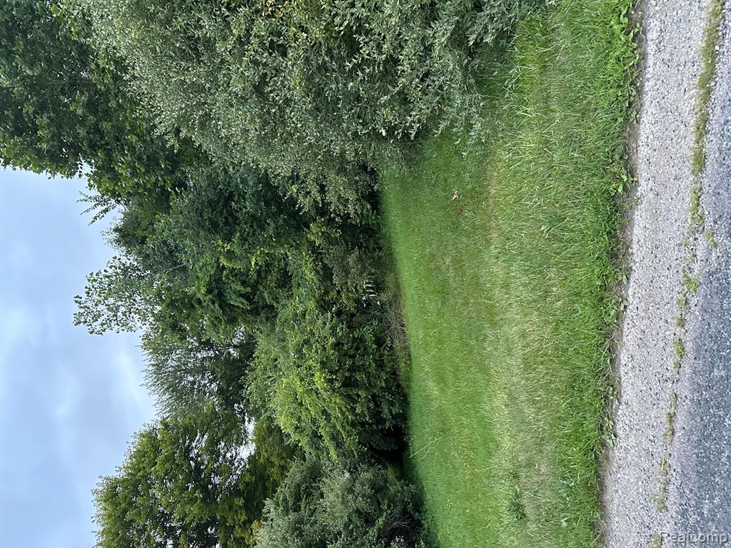 13380 Rawsonville Road Willis, MI 48191 - Photo 1 of 2 Gallery Image 1