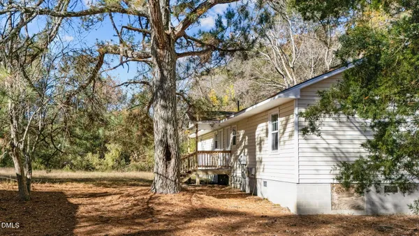 a view of road and trees