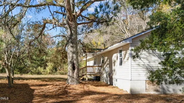 a view of road and trees
