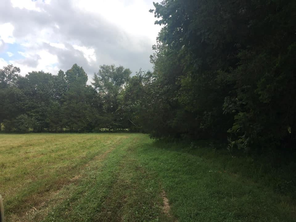 0 Albert Morgan Road Summer Shade, KY 42166 - Photo 7 of 23 Gallery Image 7