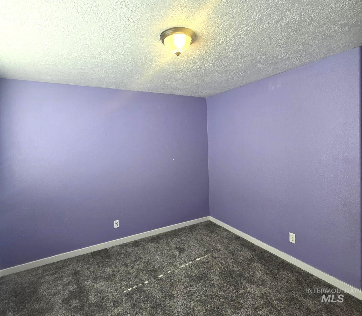2480 West 9th Street Weiser, ID 83672 - Photo 14 of 17 Room featuring textured lavender walls, grey plush carpeting, white baseboards, and a semi-flush mount ceiling light fixture
