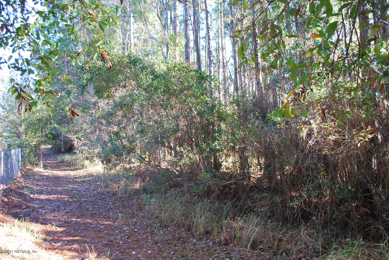 1530 Chaffee Road South Jacksonville, FL 32221 - Photo 24 of 24 Wooded lot