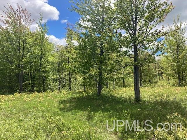 2 Boundary Road Chassell, MI 49916 - Photo 33 of 77