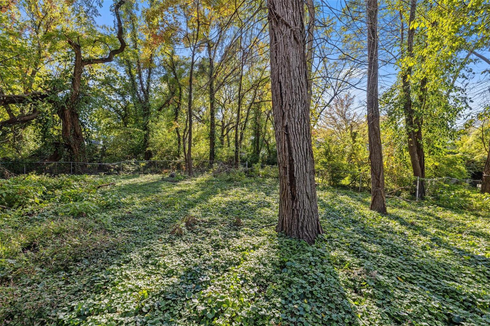 61 Spring Avenue St. Louis, MO 63135 - Photo 61 of 63 Gallery Image 61