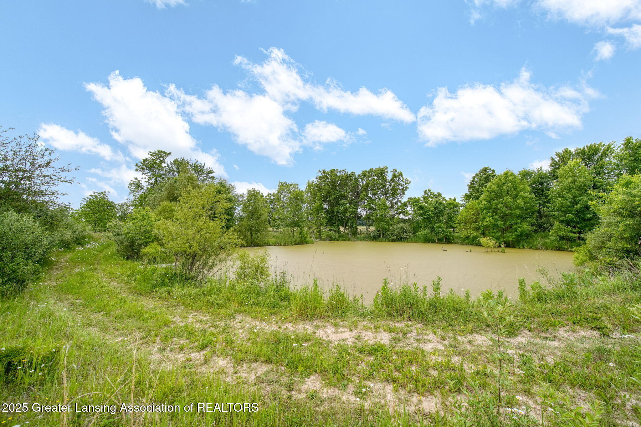 7275 Winegar Road Perry, MI 48872 - Photo 9 of 24 44-web-or-mls-DSC03748_HDR
