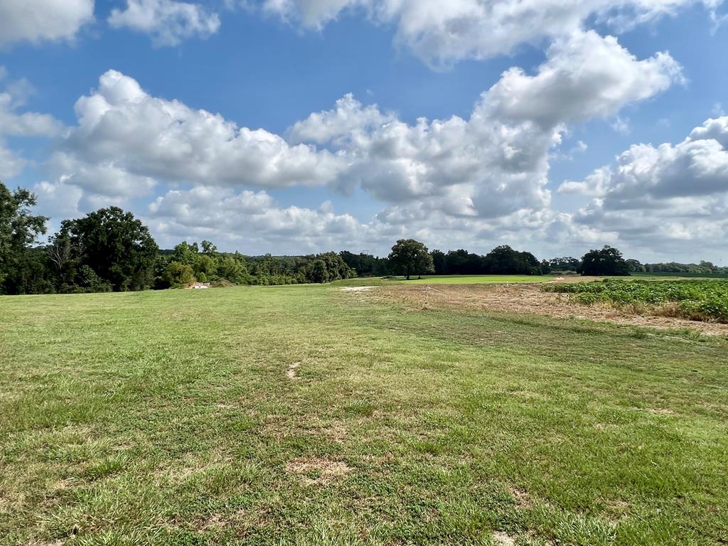 318.5-ac Goose Hollow Road Geneva, AL 36340 - Photo 20 of 50