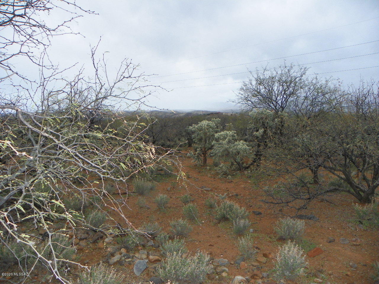 1732 Circulo Agua Blanca, Unit 74 Rio Rico, AZ 85648 - Photo 1 of 3 a view of a yard with a tree