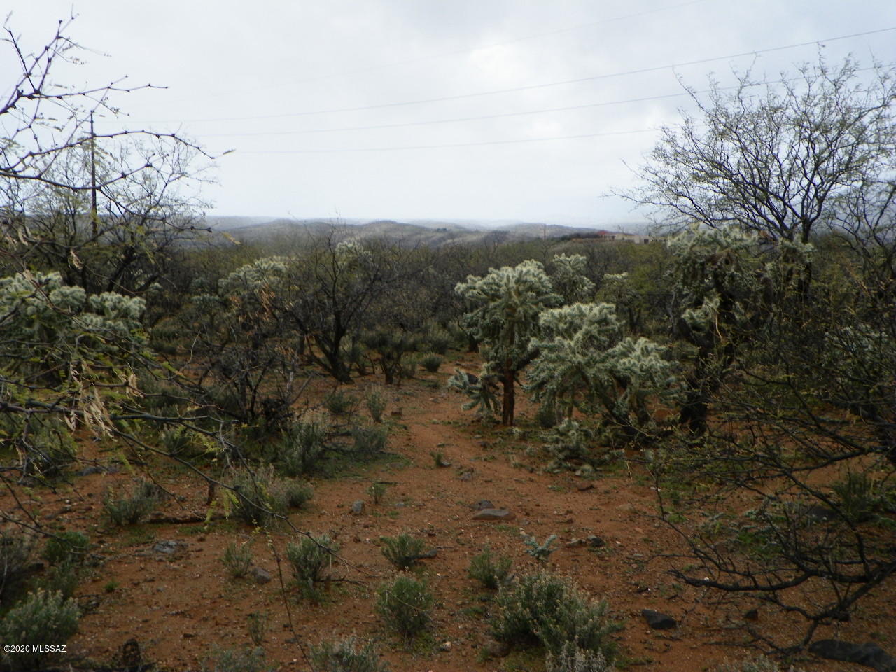 1732 Circulo Agua Blanca, Unit 74 Rio Rico, AZ 85648 - Photo 3 of 3 a view of a dry yard with lots of trees