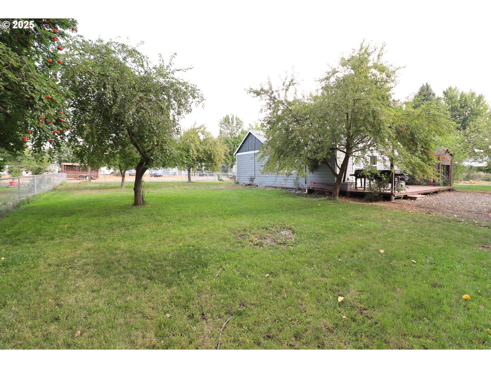 1960 Birch Street Elgin, OR 97827 - Photo 18 of 19 a view of a park with large trees