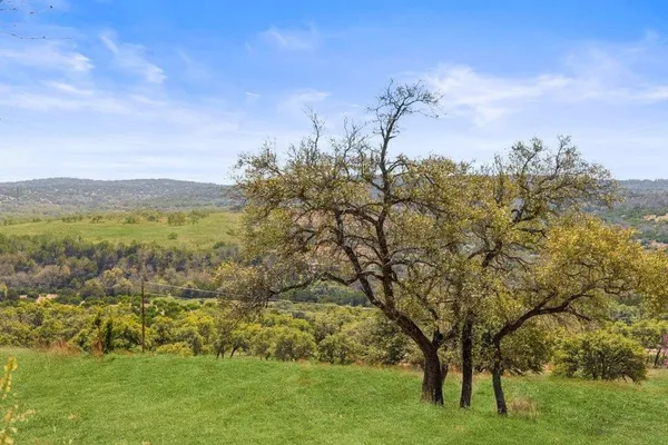 a view of a green field with lots of trees