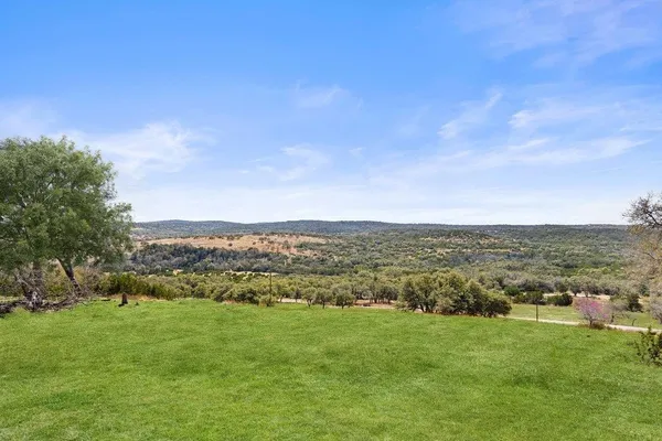 a big yard with lots of green space and plants