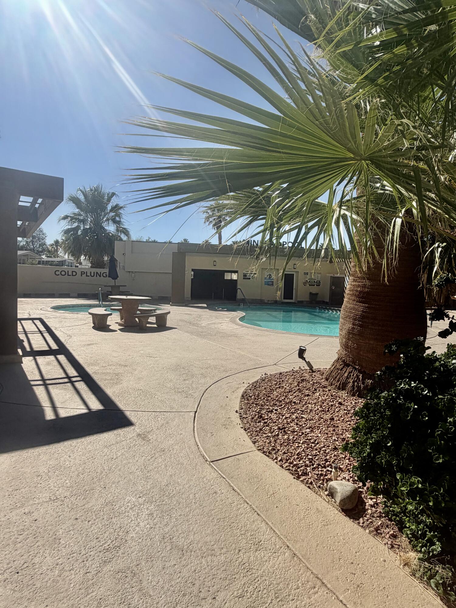 74711 Dillon Road, Unit 264 Desert Hot Springs, CA 92241 - Photo 21 of 21 a view of a backyard