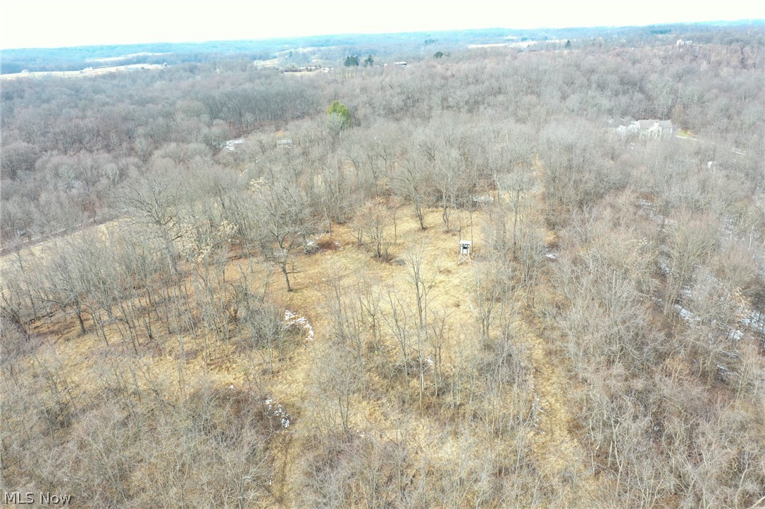 1325 County Line Road Hopewell, OH 43746 - Photo 44 of 45 Bird's eye view of a heavily wooded area