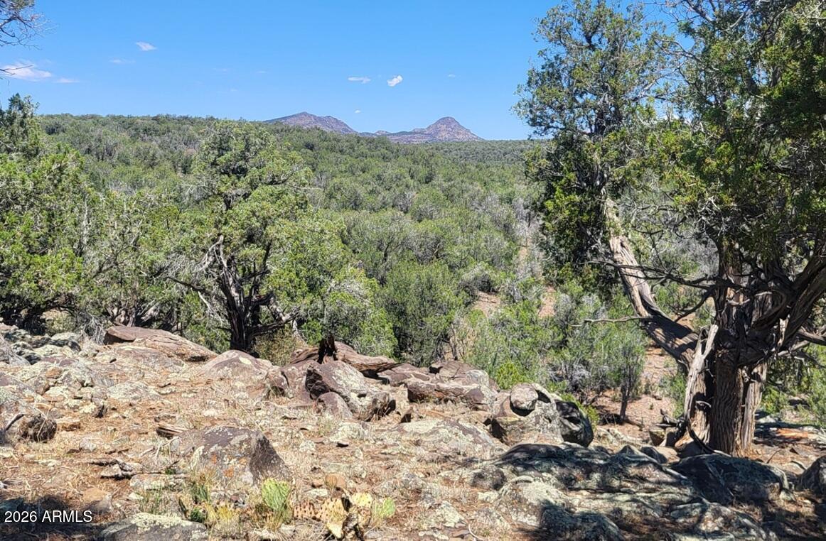 997 East Timberhill Road, Unit 997 Williams, AZ 86046 - Photo 12 of 22