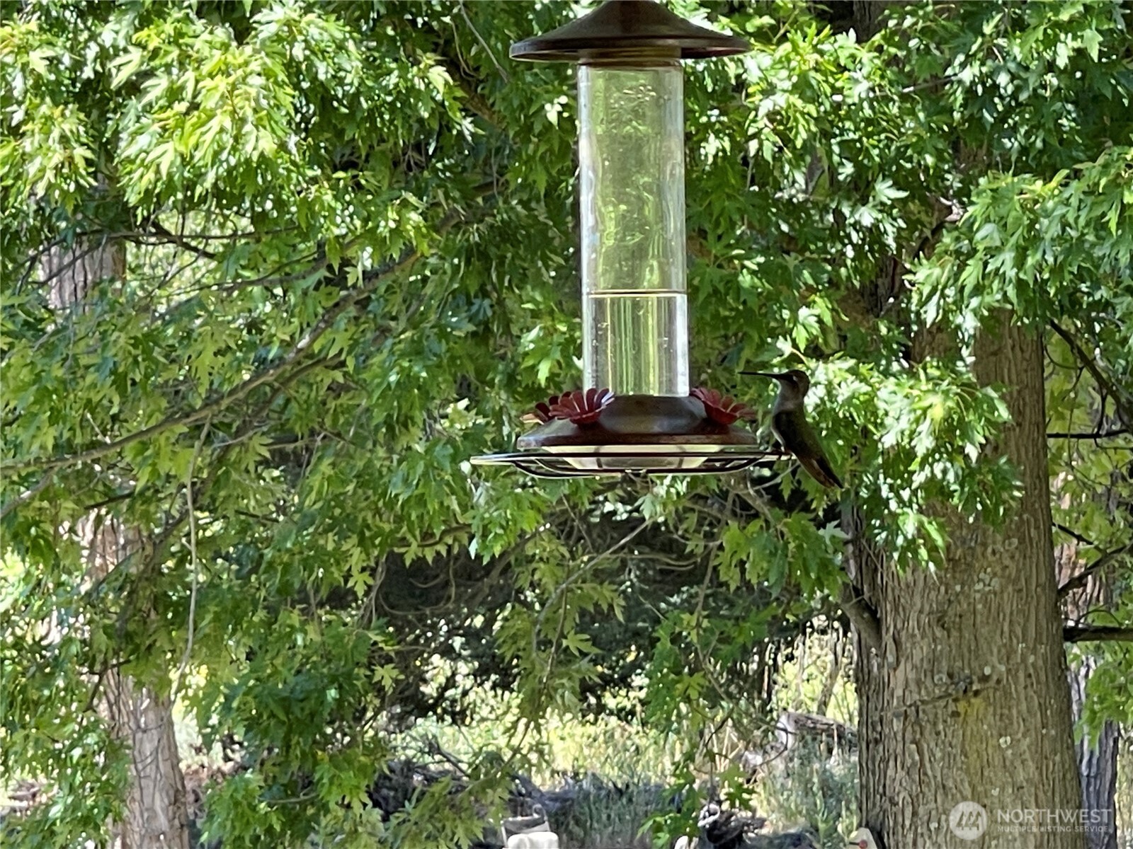 236 Wolf Fork Road Dayton, WA 99328 - Photo 4 of 37