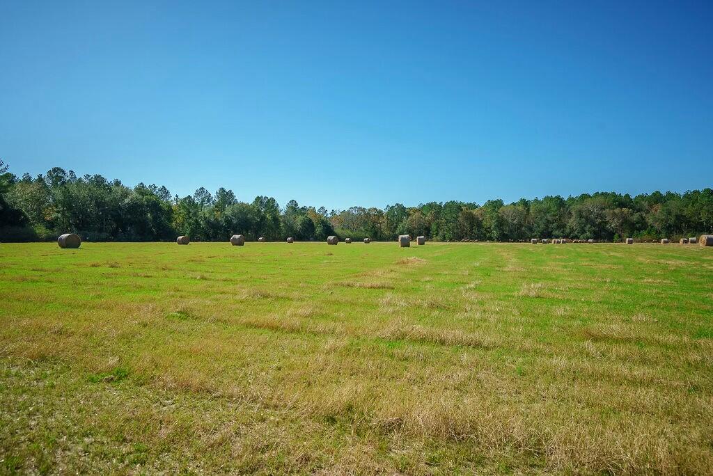 0 New Holland Road Batesburg, SC 29006 - Photo 15 of 25