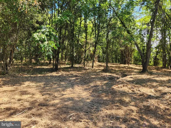 a view of outdoor space with trees