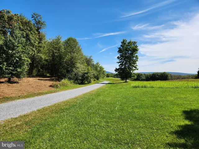 a view of yard with swimming pool and green space