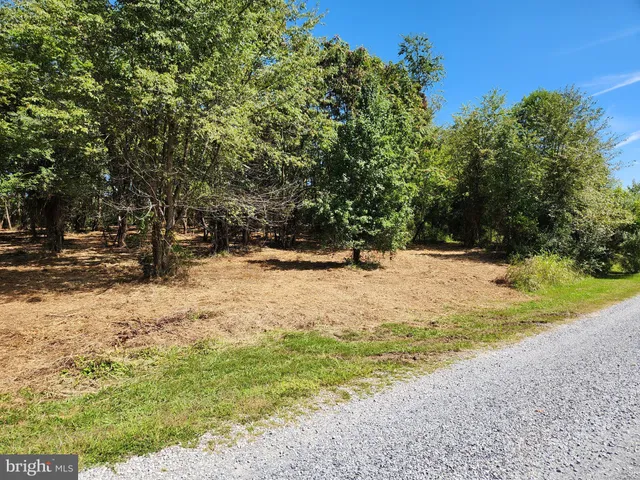 a view of yard with tree
