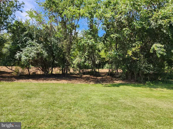 a view of backyard with tree