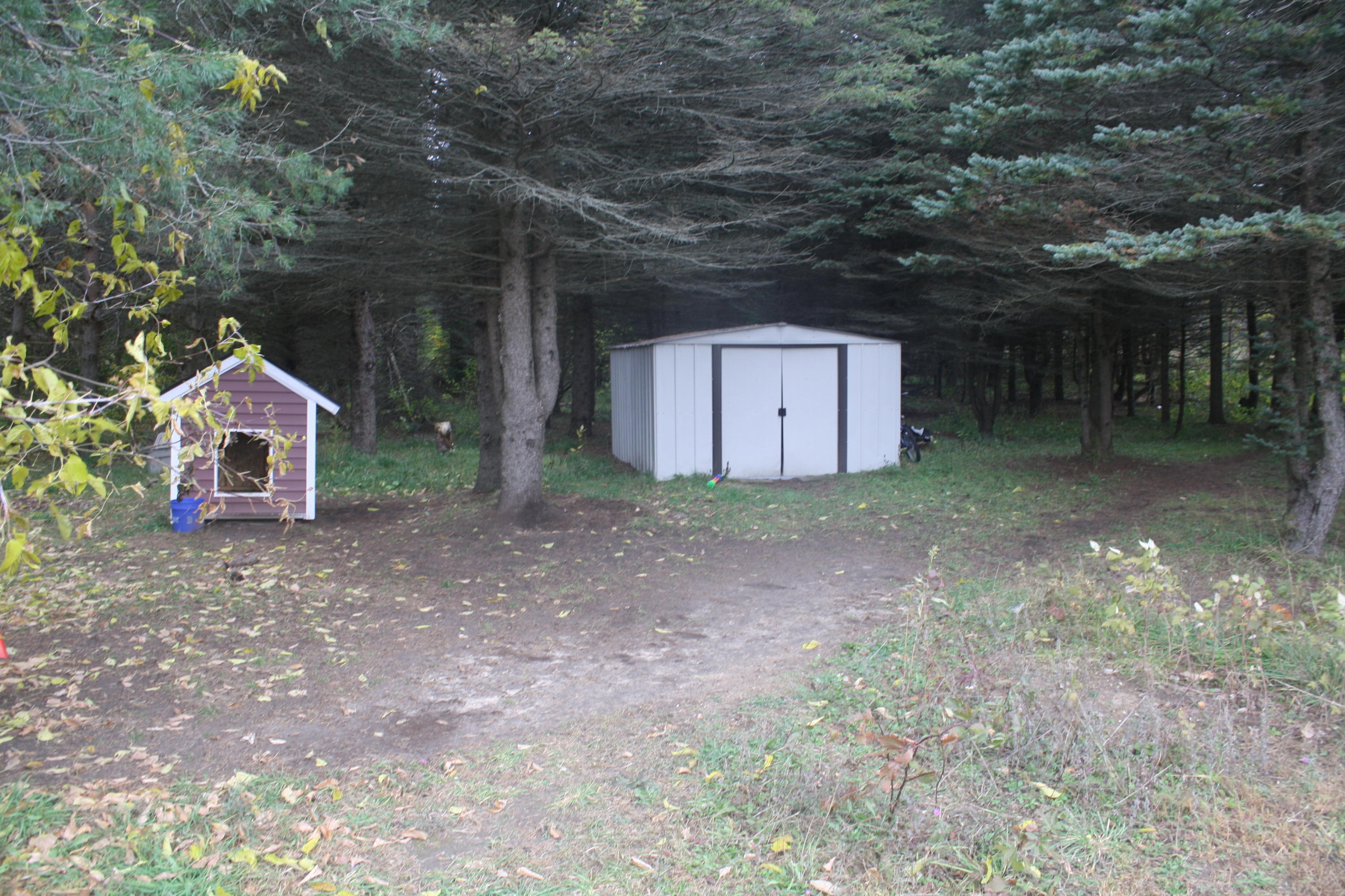 3850 Shook Road Wolverine, MI 49799 - Photo 36 of 36 Gallery Image 36