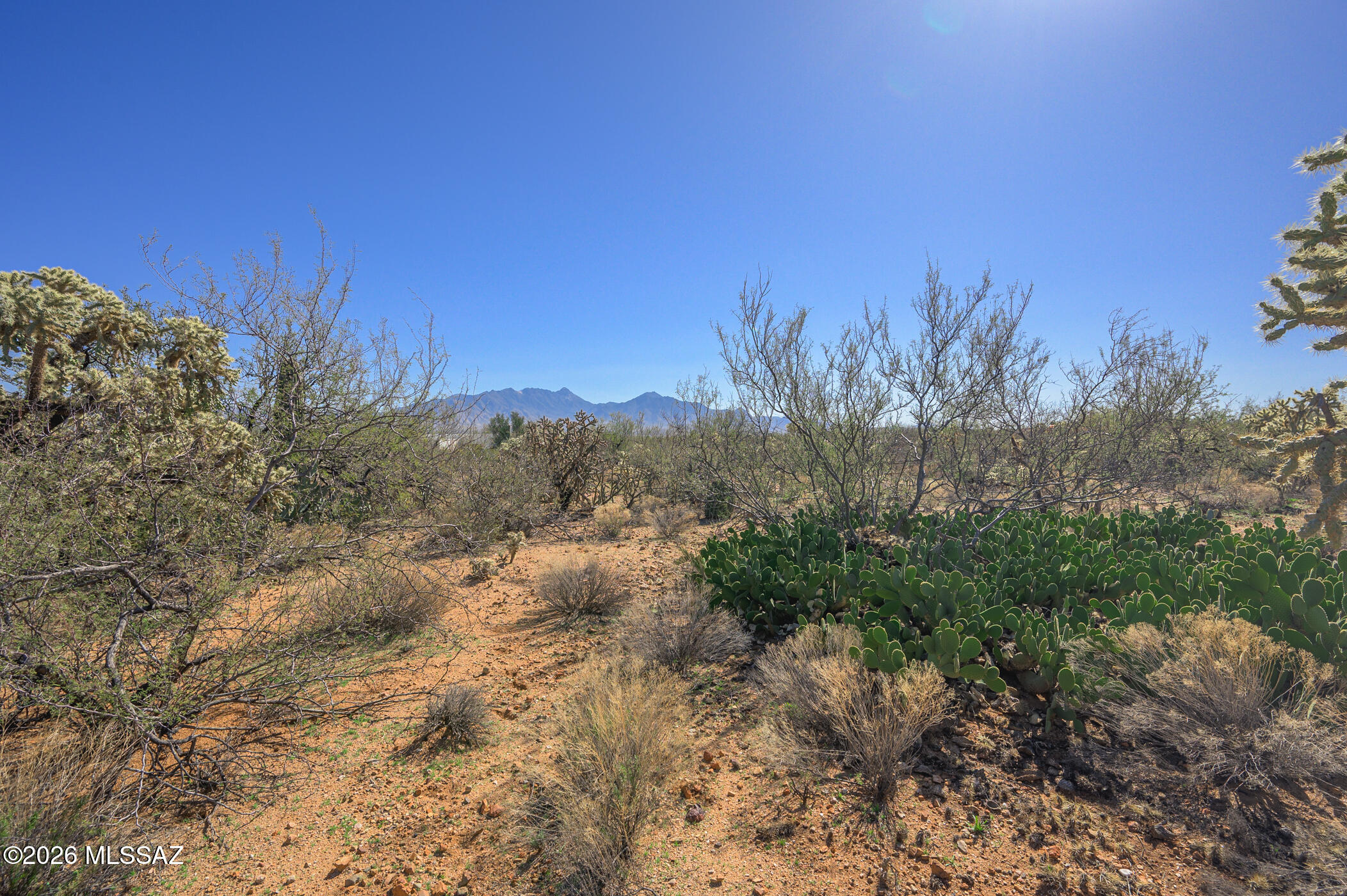 711 West Continental Road, Unit 98 Green Valley, AZ 85622 - Photo 5 of 24