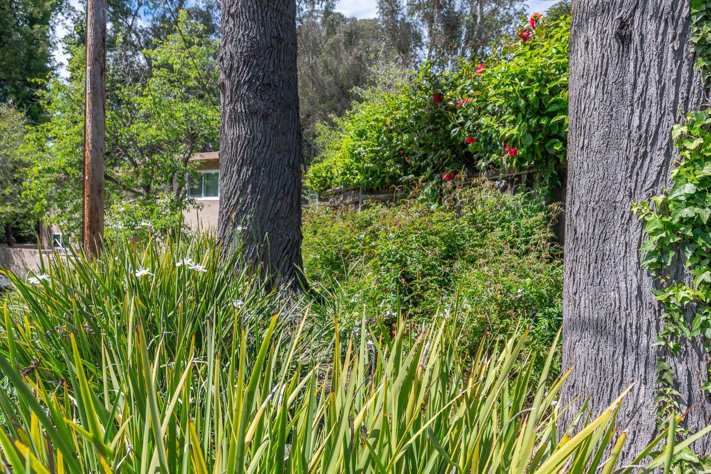 2895 Capitola Road Santa Cruz, CA 95062 - Photo 16 of 29 Gallery Image 16