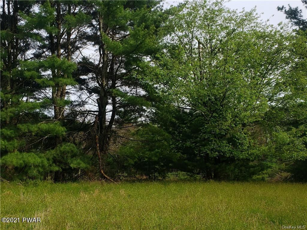 Mud Pond Road Highland Lake, NY 12743 - Photo 11 of 13