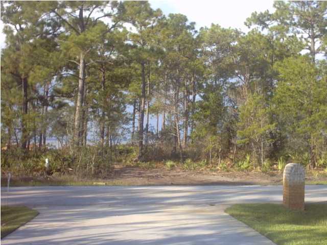 1346 Driftwood Point Road Santa Rosa Beach, FL 32459 - Photo 2 of 5 a view of yard