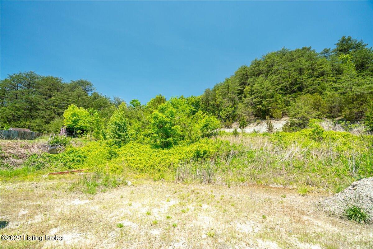 2300 Raymond Road Shepherdsville, KY 40165 - Photo 29 of 31 behind house looking up hill toward back of property.