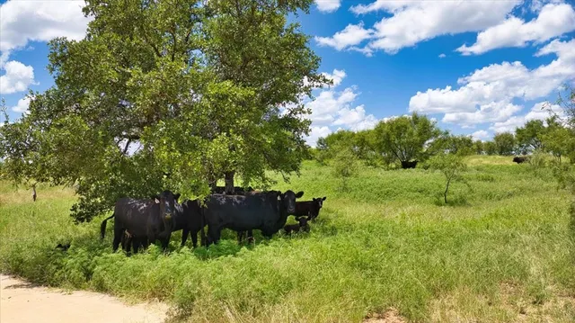 a view of a patio with a dining table and chairs