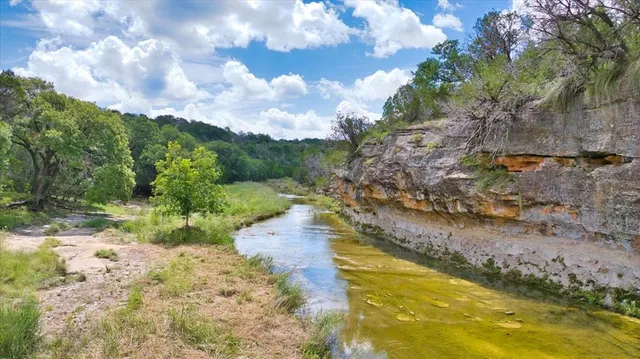 a view of a yard with swimming pool