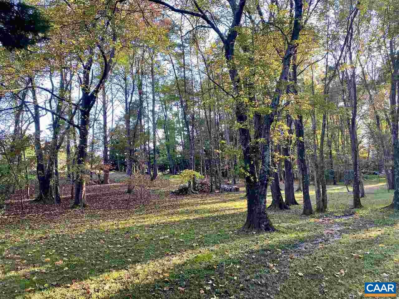 Lot 13 Buck Road Ruckersville, VA 22968 - Photo 10 of 13 Gallery Image 10