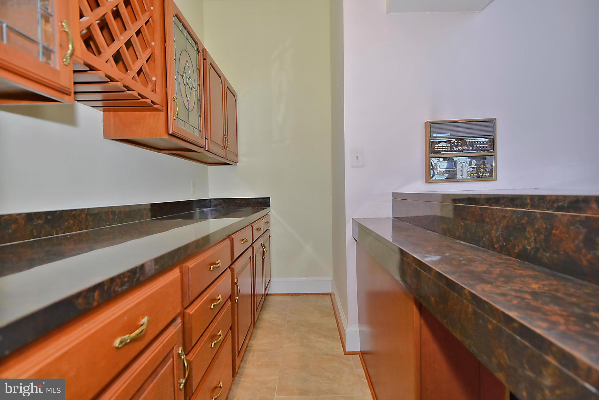 19234 Loudoun Orchard Road Leesburg, VA 20175 - Photo 11 of 30 Wet Bar off Family Room