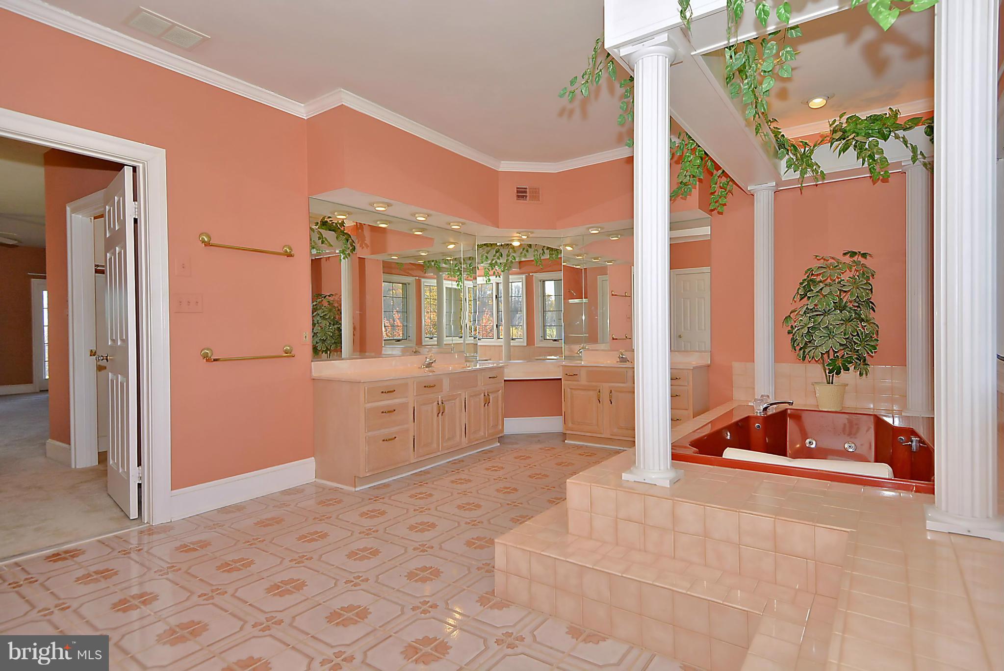 19234 Loudoun Orchard Road Leesburg, VA 20175 - Photo 14 of 30 Bath (Master)