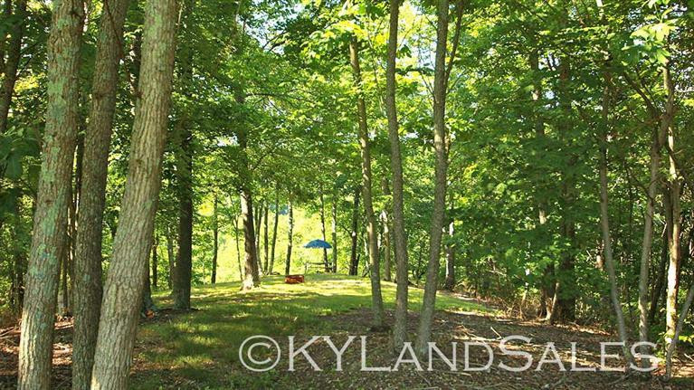 183 Good Paster Road Waynesburg, KY 40489 - Photo 7 of 20 Photo 7