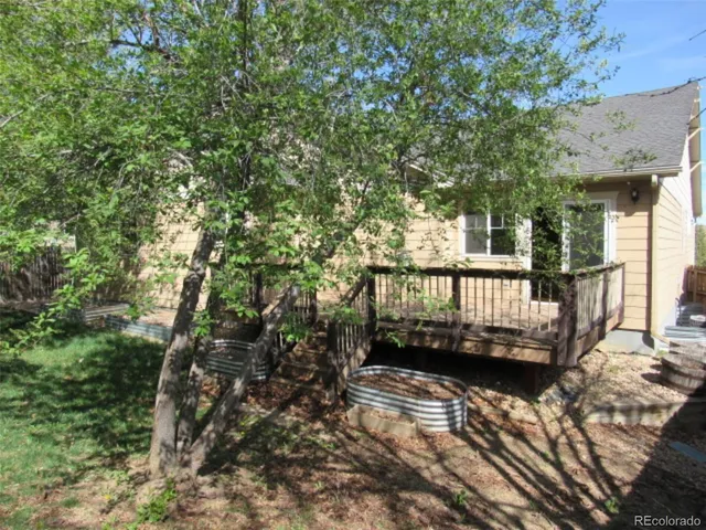 a view of a yard with plants and large trees