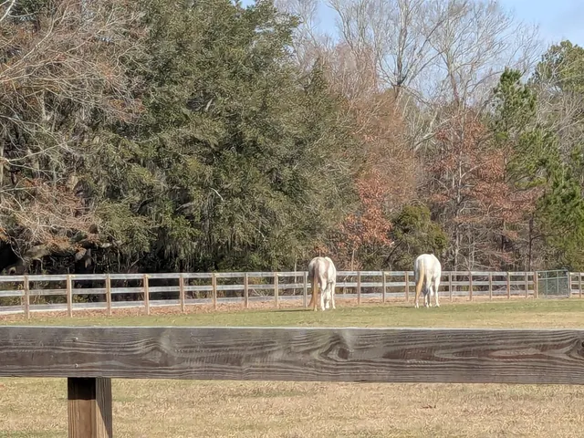 $650,000 | 5 D Archfield Avenue, Meggett, SC 29449