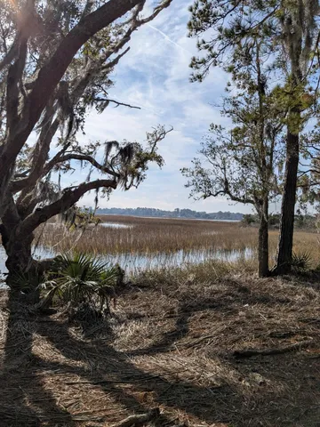 $650,000 | 5 D Archfield Avenue, Meggett, SC 29449