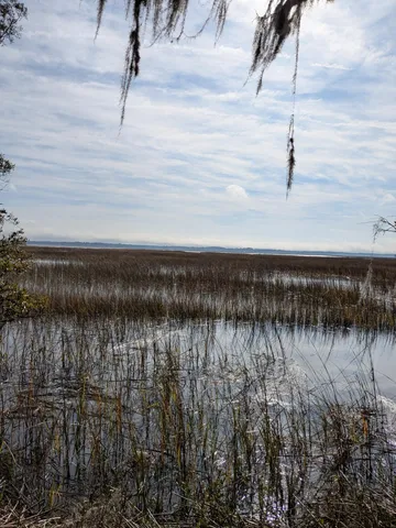 $650,000 | 5 D Archfield Avenue, Meggett, SC 29449